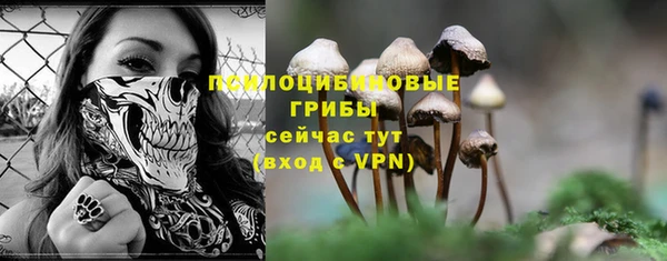 прущий лед Балахна