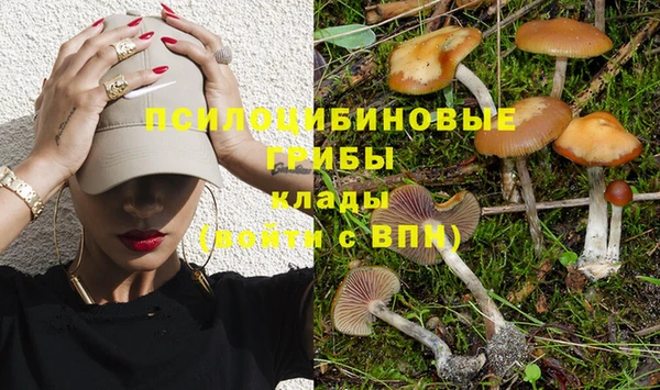 сатива Балабаново